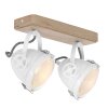 Steinhauer Gearwood Lampa Sufitowa LED Biały, 2-punktowe