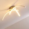 Wikon Lampa Sufitowa LED Nikiel matowy, 3-punktowe