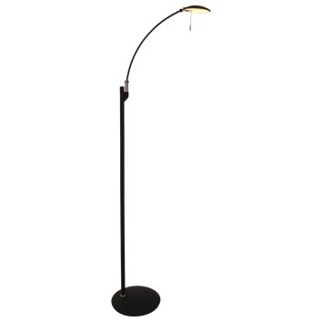 Steinhauer Zenith Lampa Stojąca LED Czarny, 1-punktowy
