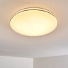 Genthin Lampa Sufitowa LED Biały, 1-punktowy