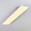 Bankura Lampa Sufitowa LED Biały, 1-punktowy, Zdalne sterowanie