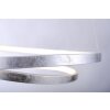 Paul Neuhaus ROMAN lampa wisząca LED Srebrny, 1-punktowy