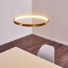 Canisteo Lampa Wisząca LED Złoty, 1-punktowy