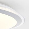 Brilliant Dinos Lampa Sufitowa LED Srebrny, 1-punktowy, Zdalne sterowanie, Zmieniacz kolorów