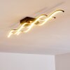 Flow Lampa Sufitowa LED Czarny, 2-punktowe