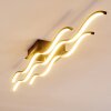 Flow Lampa Sufitowa LED Czarny, 2-punktowe