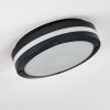 Wollongong Lampa Sufitowa zewnętrzna LED Antracytowy, 1-punktowy