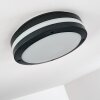 Wollongong Lampa Sufitowa zewnętrzna LED Antracytowy, 1-punktowy