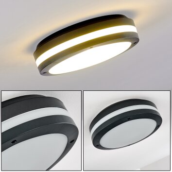 Wollongong Lampa Sufitowa zewnętrzna LED Antracytowy, 1-punktowy