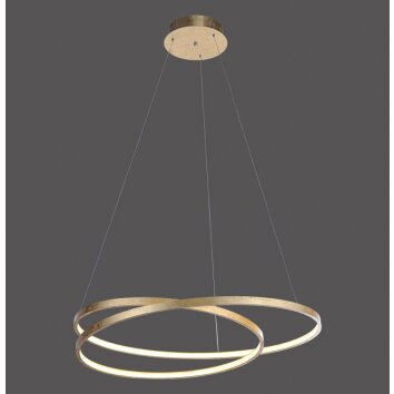 Paul Neuhaus ROMAN lampa wisząca LED Złoty, 1-punktowy