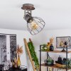 Bitterroot Lampa Sufitowa Brązowy, Ciemne drewno, 1-punktowy