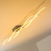 Grant Lampa sufitowa LED Stal nierdzewna, 3-punktowe