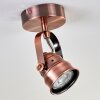 Aniak Lampa Sufitowa LED Miedź, 1-punktowy