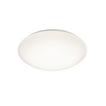 Lampa Sufitowa Reality POLLUX LED Biały, 1-punktowy, Czujnik ruchu