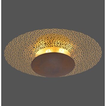 Paul Neuhaus NEVIS Lampa Sufitowa LED Rdzawy, 1-punktowy
