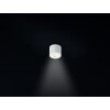Helestra OSO lampa sufitowa LED Biały, 1-punktowy