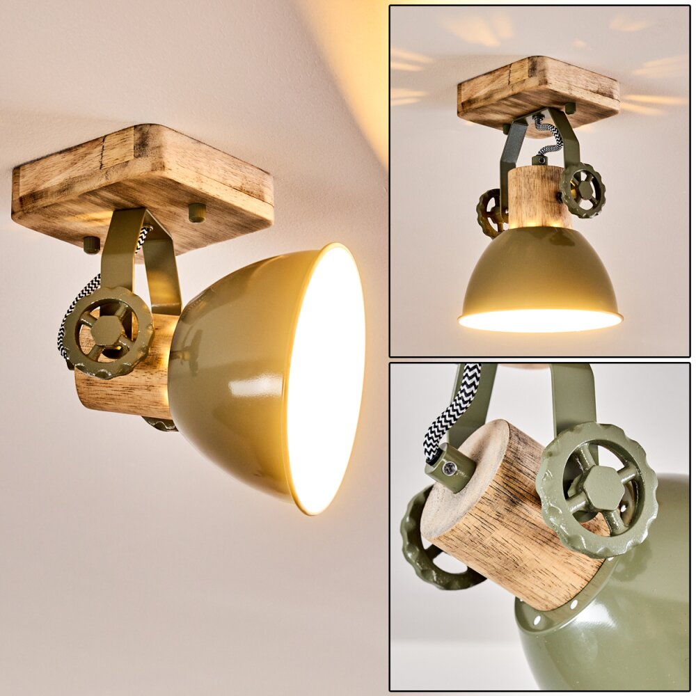 Orny Lampa Sufitowa Zielony, 1-punktowy main product photo