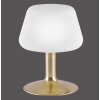 Paul Neuhaus TILL lampa stołowa LED Mosiądz, 1-punktowy