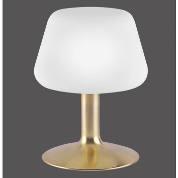 Paul Neuhaus TILL lampa stołowa LED Mosiądz, 1-punktowy