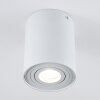Quimper Lampa Sufitowa Biały, 1-punktowy