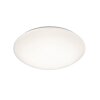 Lampa Sufitowa Reality POLLUX LED Biały, 1-punktowy, Czujnik ruchu