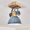 Orny Lampa Sufitowa Szary, 1-punktowy