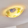 Pizzy Zoo Lampa Sufitowa Chrom, Biały, 2-punktowe