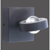 Kinkiet Paul Neuhaus Q-MIA LED Antracytowy, 2-punktowe, Zdalne sterowanie