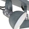 Steinhauer Brooklyn Lampa Sufitowa Szary, 1-punktowy