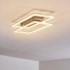 Veyrier Lampa Sufitowa LED Stal szczotkowana, 2-punktowe