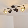 Jonsered Lampa Sufitowa LED Czarny, 4-punktowe