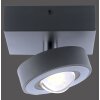 Lampa Sufitowa Paul Neuhaus Q-MIA LED Antracytowy, 1-punktowy, Zdalne sterowanie
