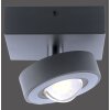 Lampa Sufitowa Paul Neuhaus Q-MIA LED Antracytowy, 1-punktowy, Zdalne sterowanie