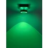 Lampa Sufitowa Paul Neuhaus Q-MIA LED Antracytowy, 1-punktowy, Zdalne sterowanie