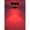Lampa Sufitowa Paul Neuhaus Q-MIA LED Antracytowy, 1-punktowy, Zdalne sterowanie