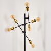 Coppet Lampa Stojąca Czarno-złoty, 6-punktowe