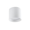 Faro Barcelona Natsu Lampa Sufitowa LED, 1-punktowy