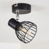 Lampa Sufitowa Bolderslev Chrom, Czarny, 1-punktowy