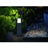 Philips myGarden ARBOUR Lampa na cokół LED Szary, 1-punktowy