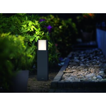 Philips myGarden ARBOUR Lampa na cokół LED Szary, 1-punktowy