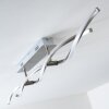 Paul Neuhaus POLINA lampa sufitowa LED Stal nierdzewna, 2-punktowe