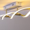 Paul Neuhaus POLINA lampa sufitowa LED Stal nierdzewna, 2-punktowe