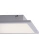 Lampa Sufitowa Paul Neuhaus Q-Flag LED Biały, 1-punktowy, Zdalne sterowanie