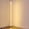 Pipe Lampa Stojąca LED Nikiel matowy, 1-punktowy, Zdalne sterowanie, Zmieniacz kolorów