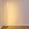 Pipe Lampa Stojąca LED Nikiel matowy, 1-punktowy, Zdalne sterowanie, Zmieniacz kolorów