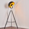 Jupiter Lampa Stojąca Czarno-złoty, 1-punktowy