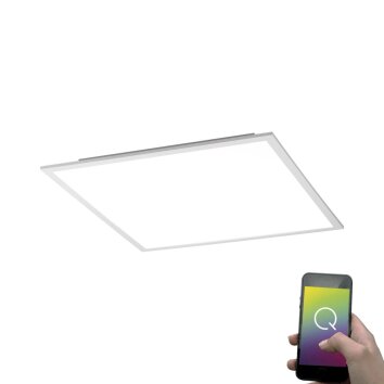 Lampa Sufitowa Paul Neuhaus Q-Flag LED Biały, 1-punktowy, Zdalne sterowanie