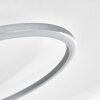 Lithgow Lampa Sufitowa LED Srebrny, 1-punktowy