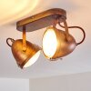 Butikon Lampa Sufitowa Rdzawy, 2-punktowe