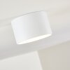 Kristallo Lampa Sufitowa LED Biały, 1-punktowy